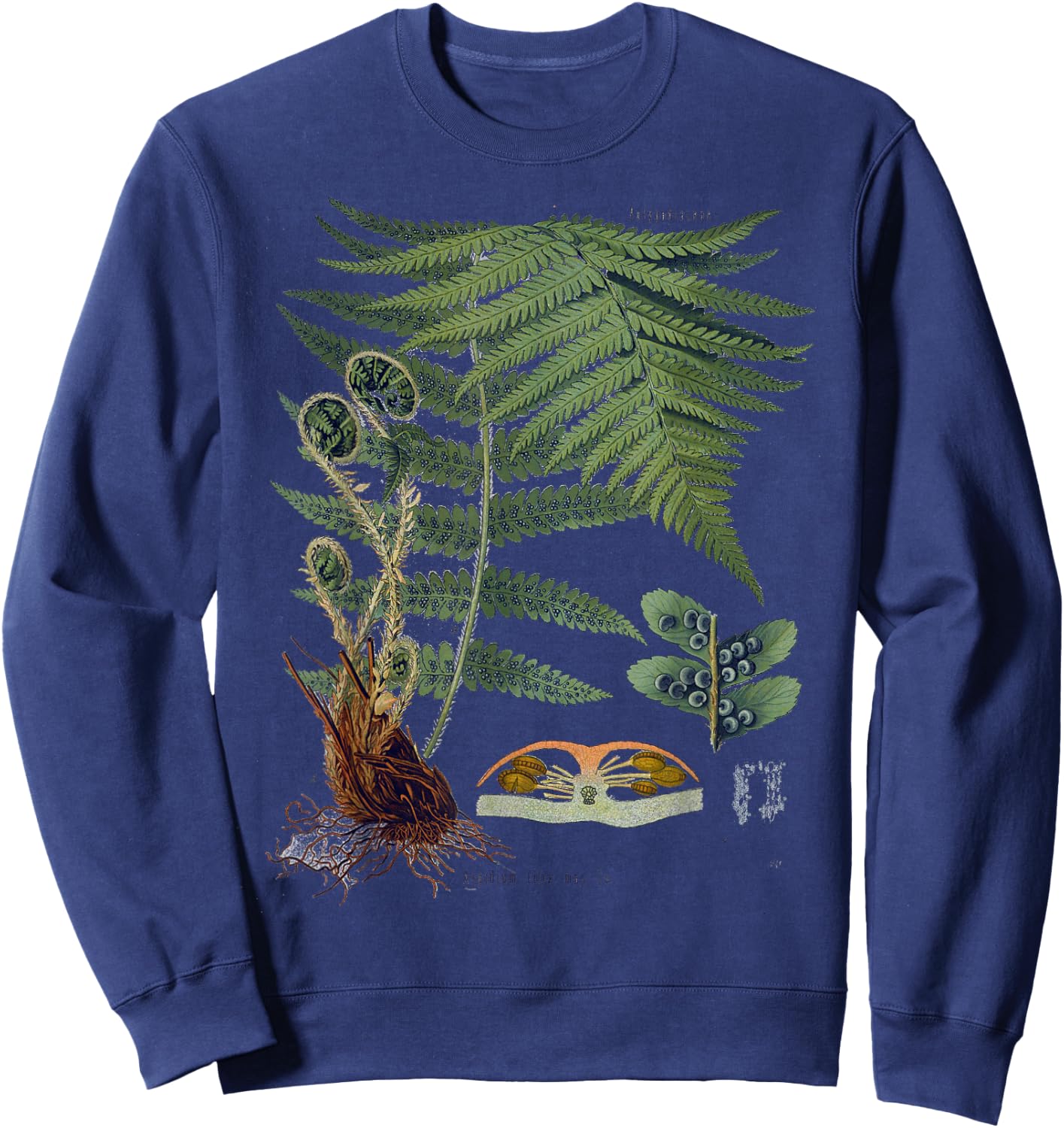 Fern Botanical Plants Botany Sweatshirt - Sweatshirt | Navy