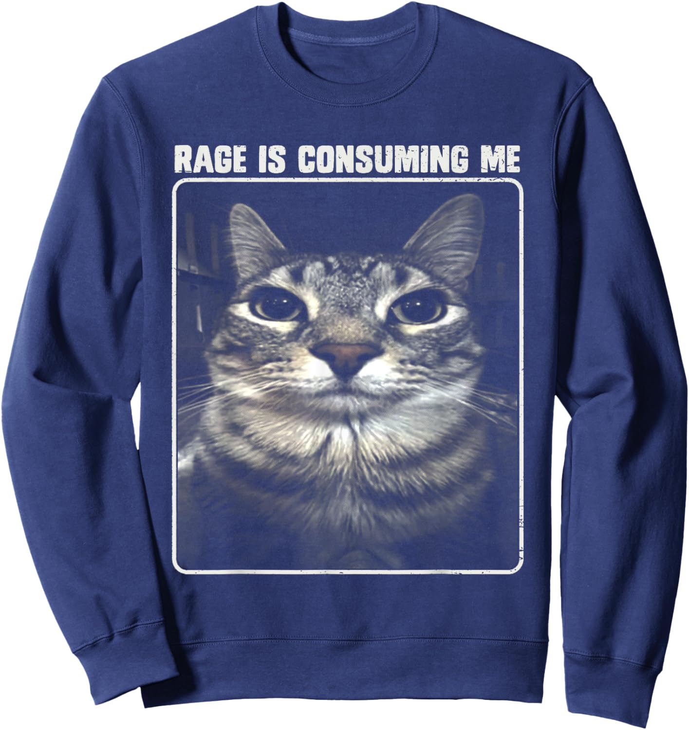 Rage Is Consuming Me Meme Silly Cat Women Girls Kids Sweatshirt - Sweatshirt | Navy