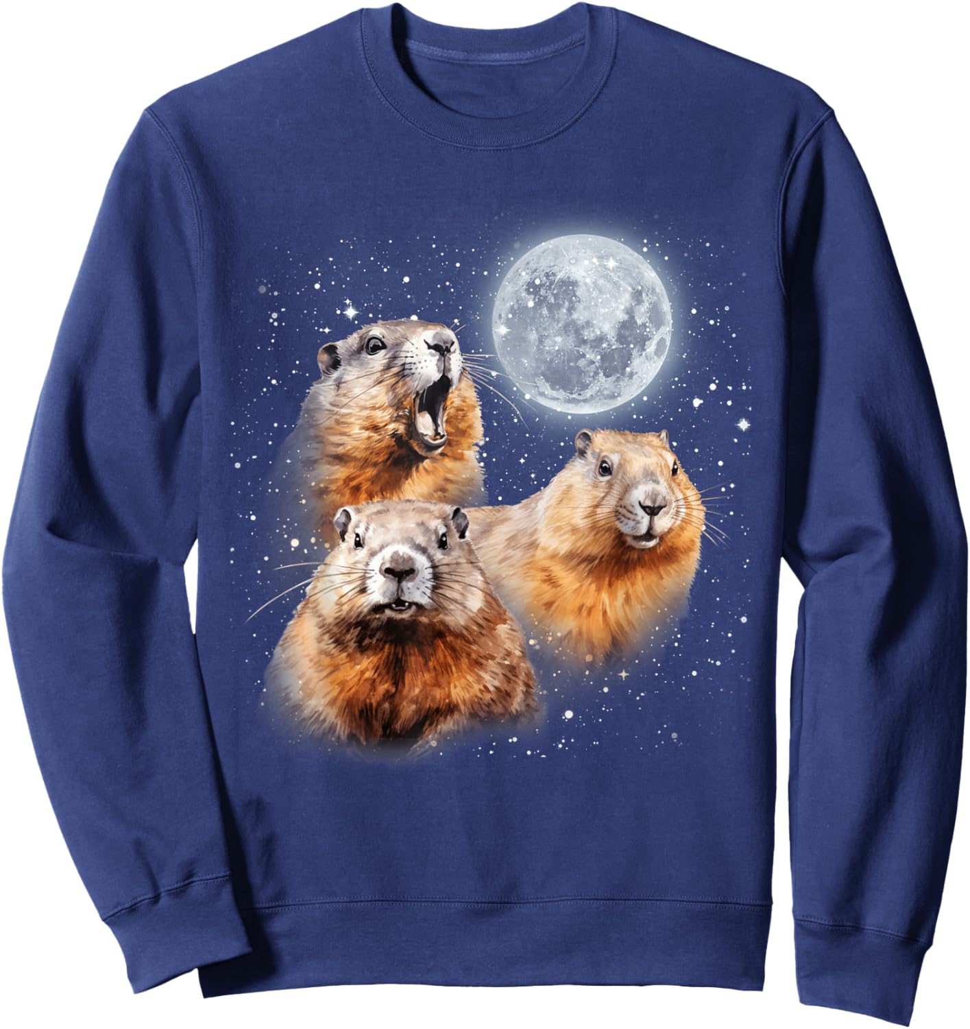Funny Three Groundhog Moon 3 Groundhog Head Groundhog Day , Small, Black Sweatshirt - Sweatshirt | Navy