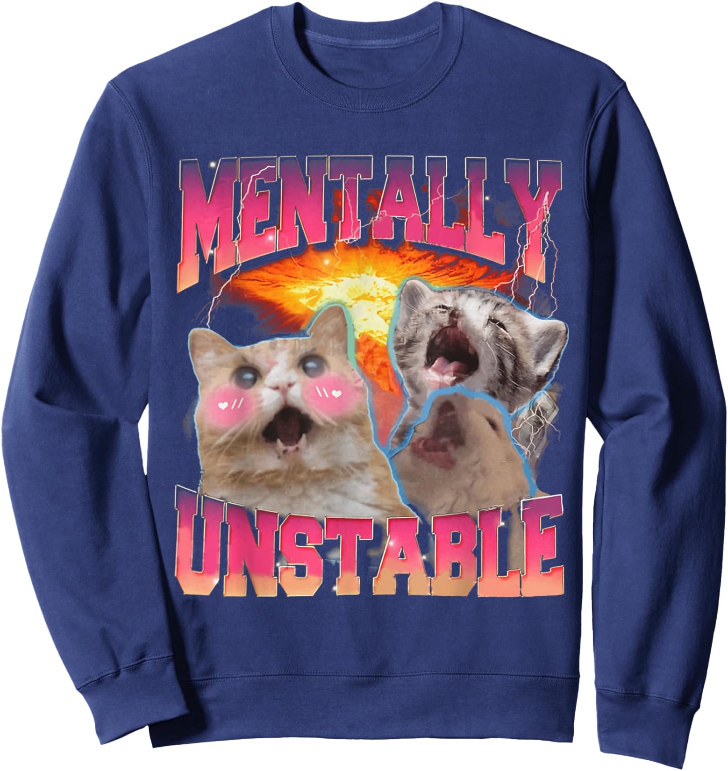 Mentally Unstable Cat Meme Shirt, Funny Cat Meme Sweatshirt - Sweatshirt | Navy