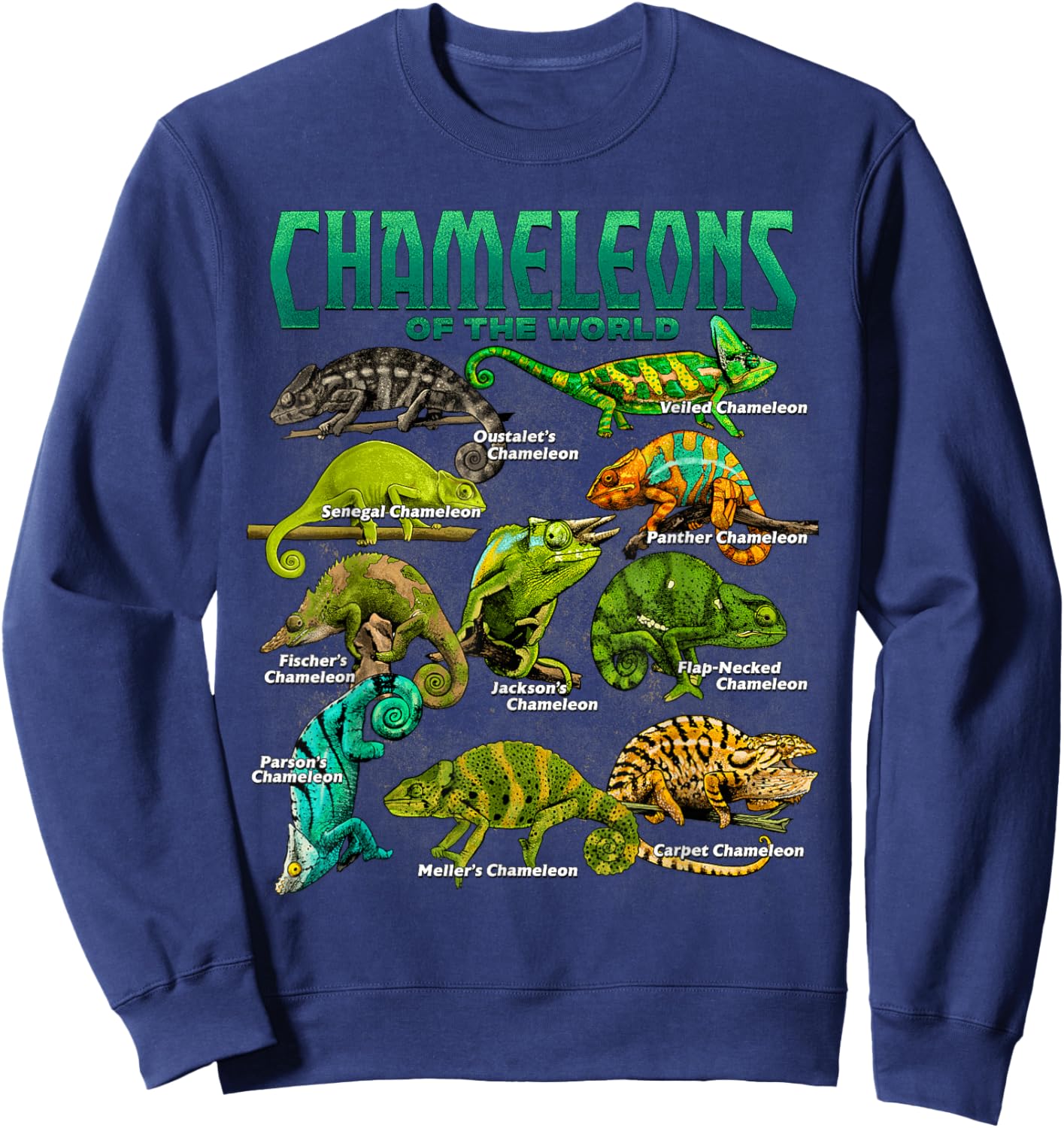 Chameleons of The World Educational Reptile Lizard Lover Sweatshirt - Sweatshirt | Navy