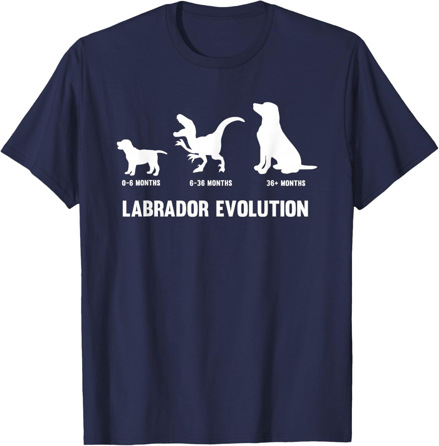 Labrador Retriever Evolution Design for a Labrador Owner Small T-Shirt - T-Shirt | Navy