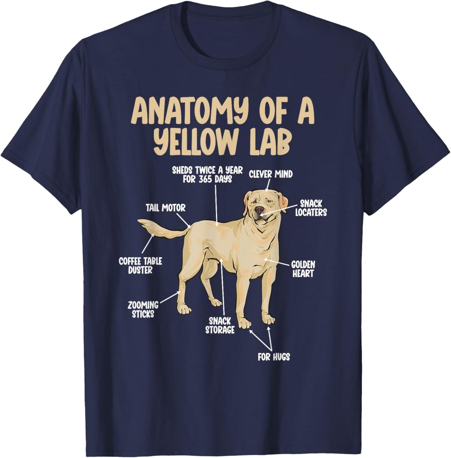 Anatomy Of A Yellow Lab Yellow Labrador Retriever T-Shirt - T-Shirt | Navy