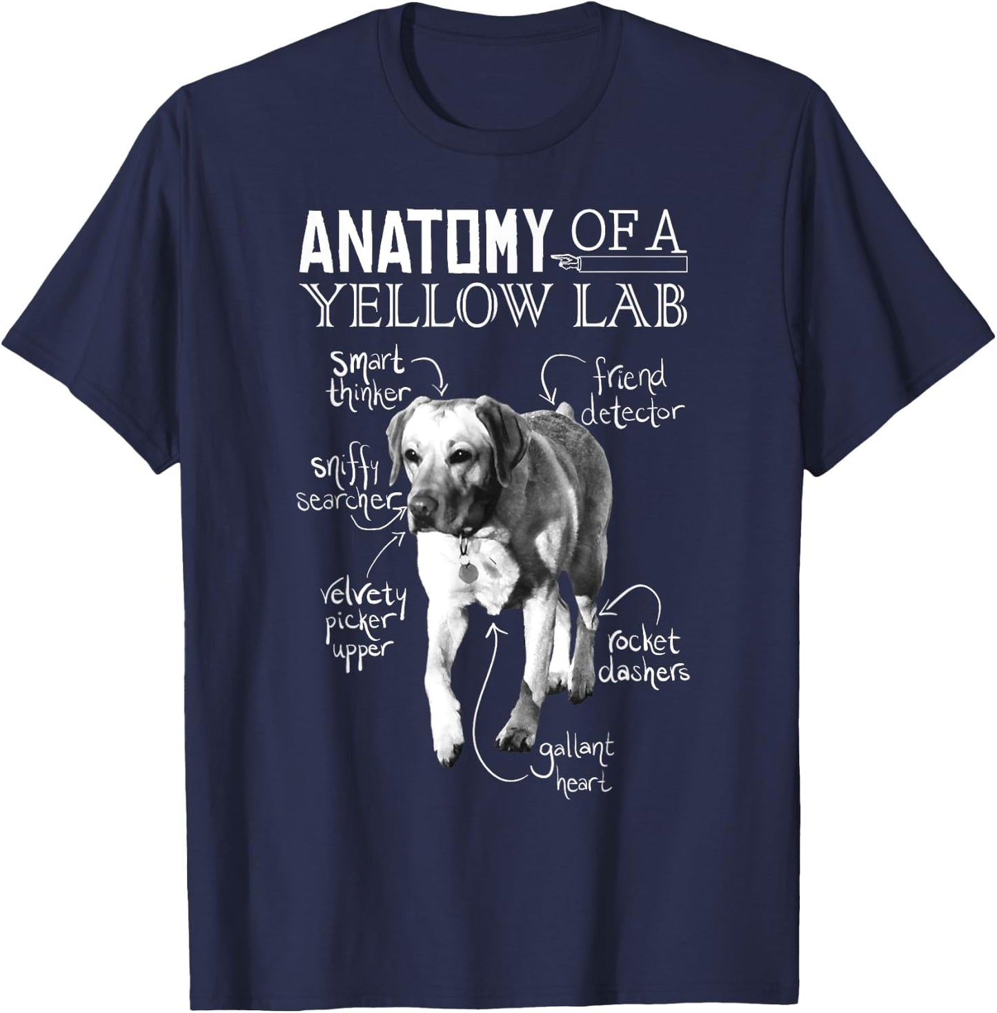 Anatomy of a Yellow Lab Chalkboard, Labrador Retriever Lover T-Shirt - T-Shirt | Navy