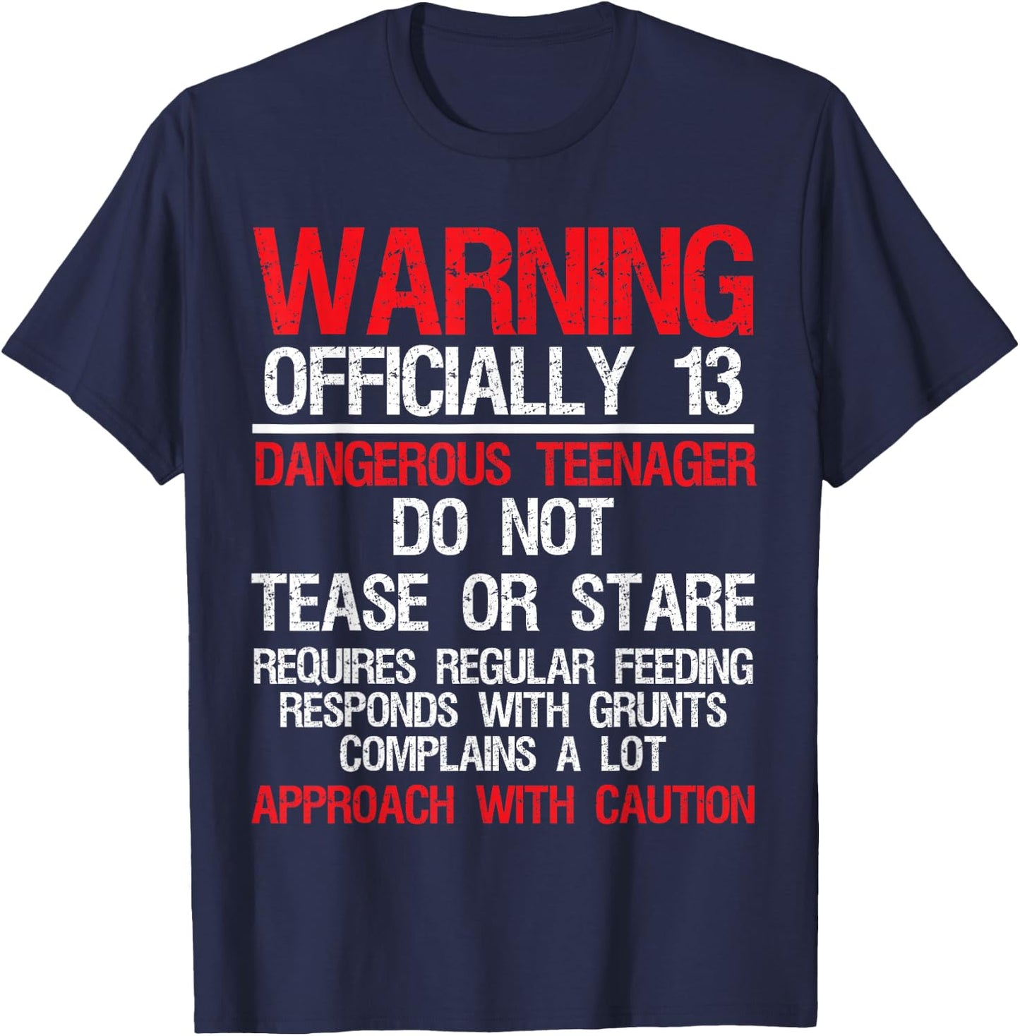 13 Years Old Warning Dangerous Teenager 13th Birthday T-Shirt - T-Shirt | Navy