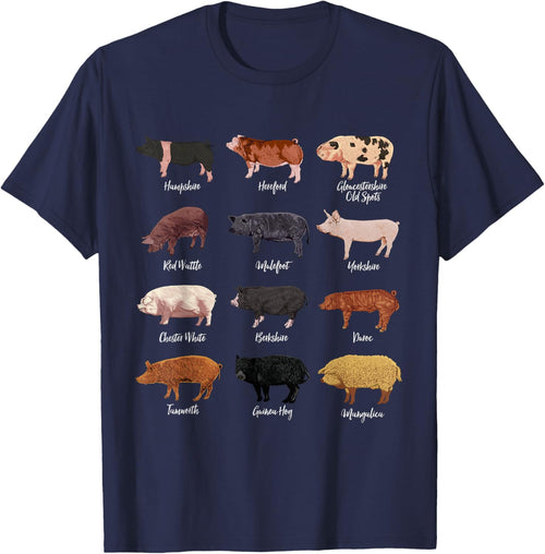 Pig drawings - Pig breeds