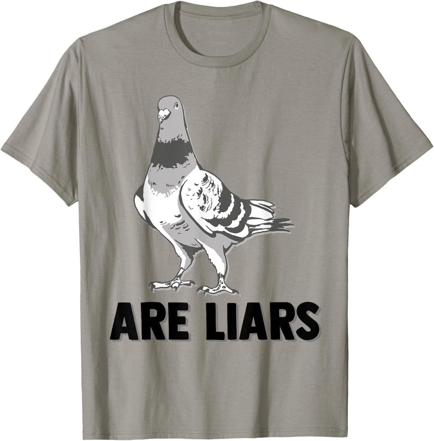 Pigeons Are Liars Aren't Real Spies Birds Pun T-Shirt - T-Shirt | Sand