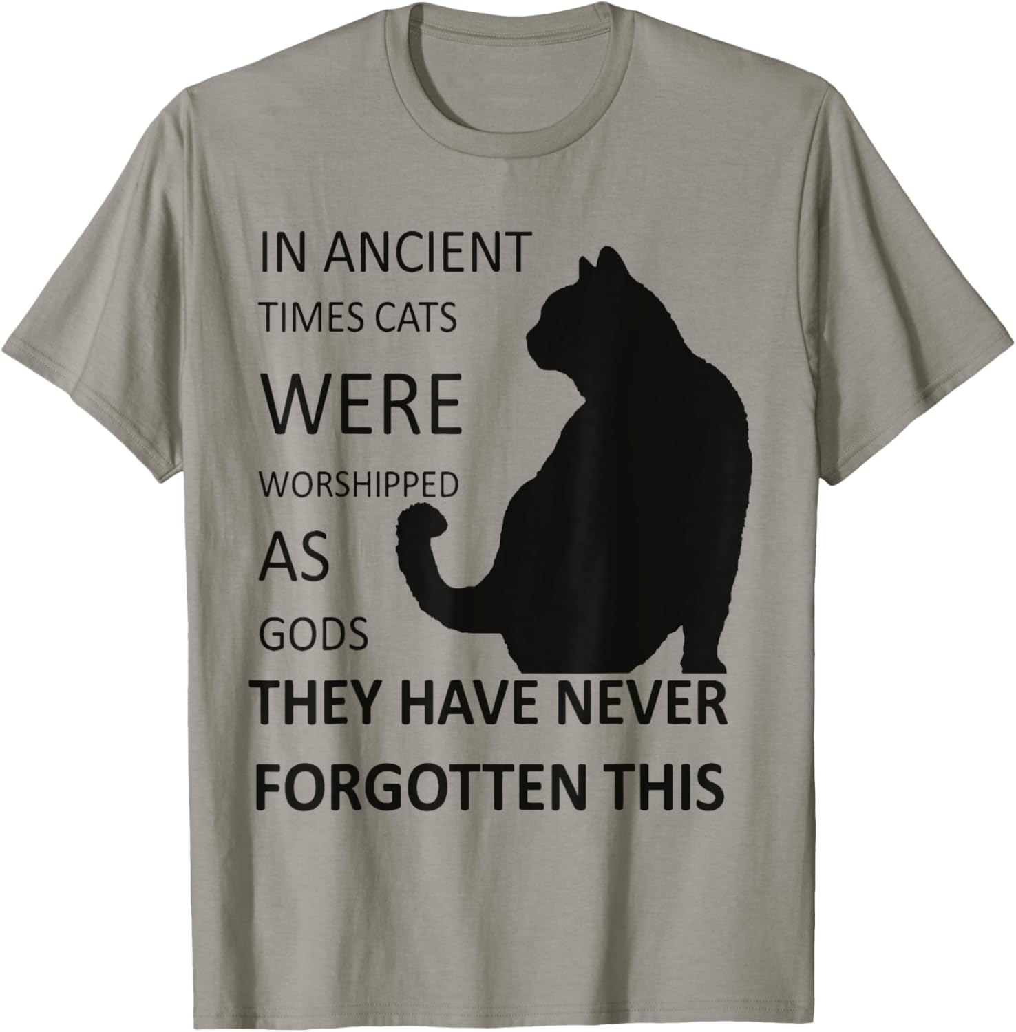 In Ancient Times Cats Were Worshipped As Gods v1 T-Shirt - T-Shirt | Sand