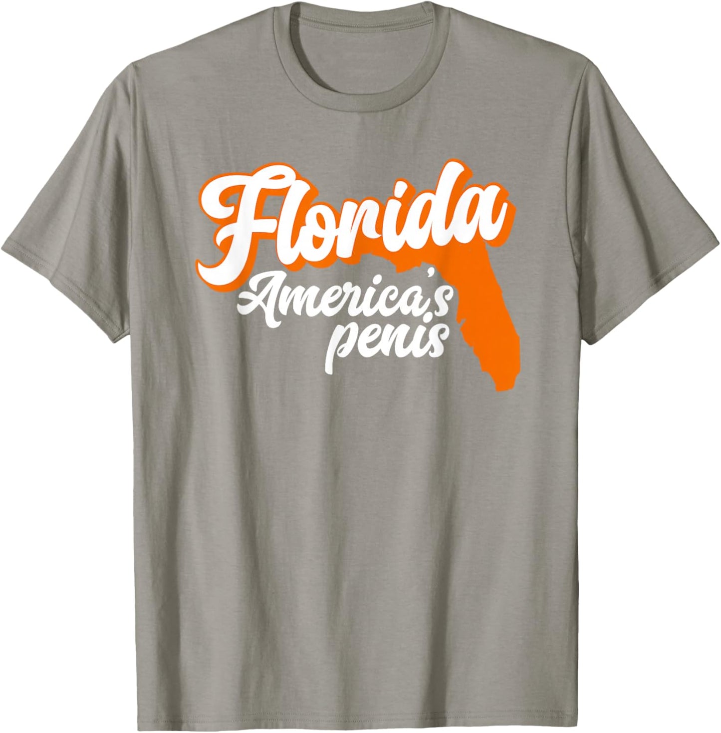 Florida is America’S Penis - Funny Florida Sucks T-Shirt - T-Shirt | Sand