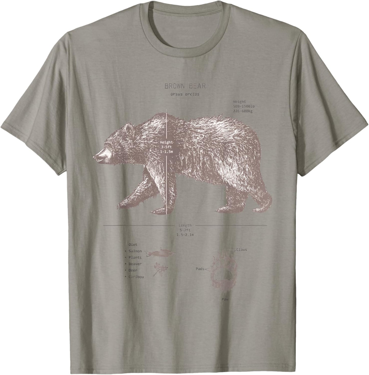 Brown Bear Anatomy T-Shirt - T-Shirt | Sand