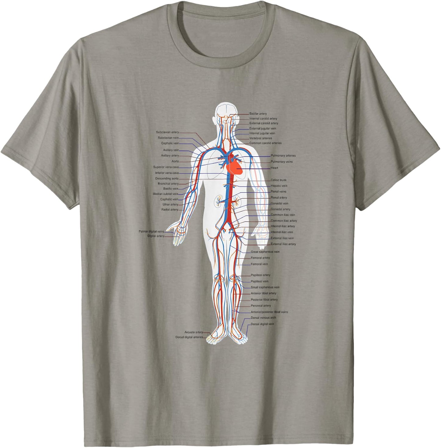 Circulatory System Anatomy Chart Arteries Veins T-Shirt - T-Shirt | Sand