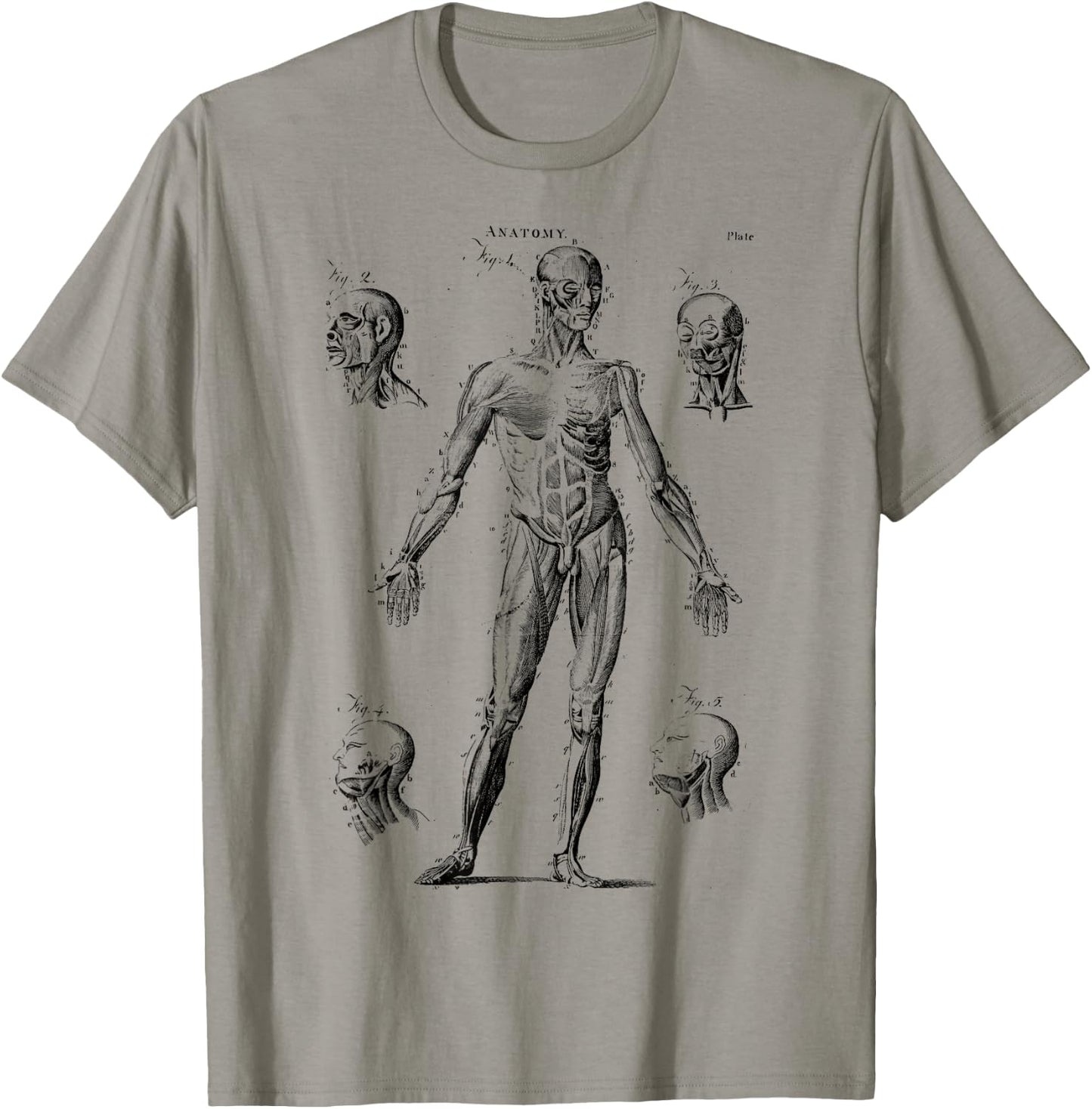 Human Muscle Anatomy Medical Anatomy T-Shirt - T-Shirt | Sand