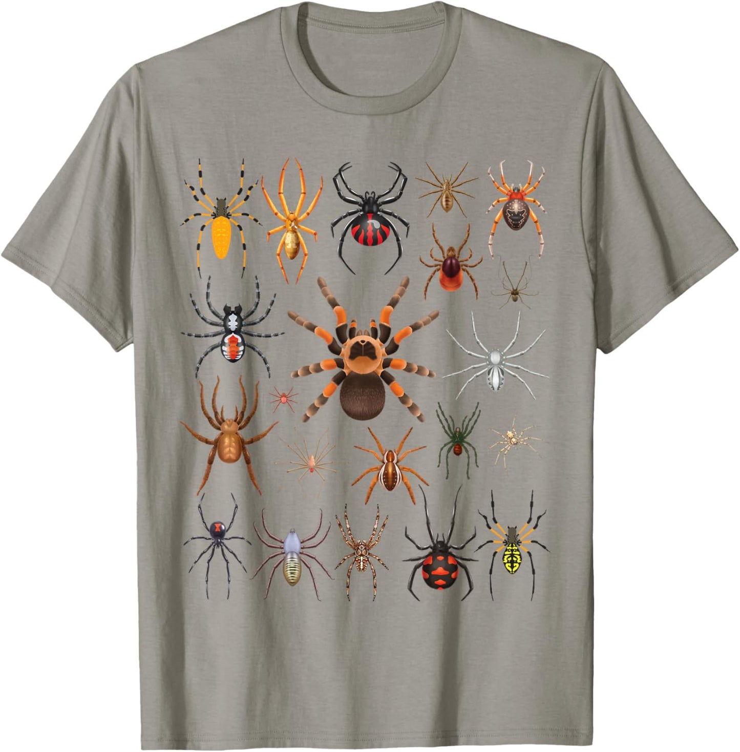 Types of Spiders Educational Entomology Boys Girls Kids T-Shirt - T-Shirt | Sand
