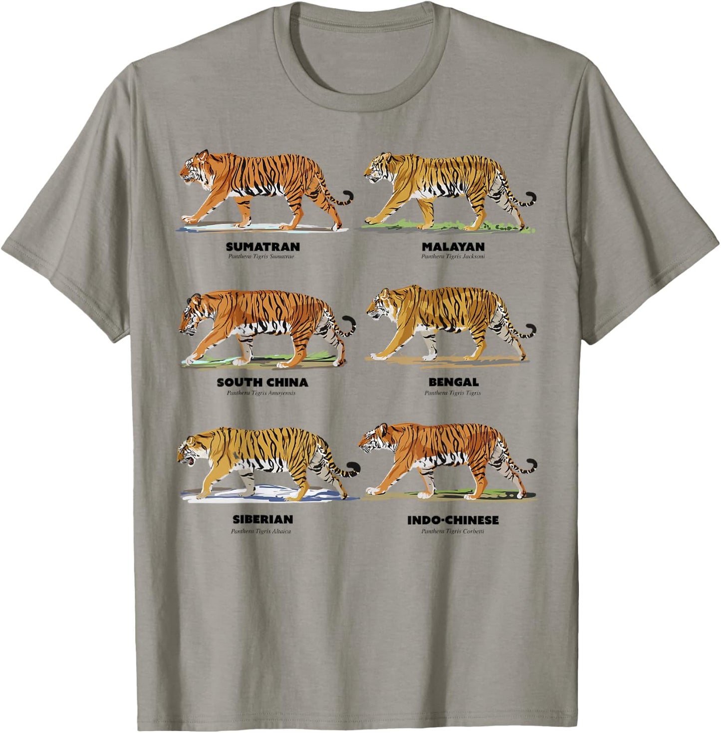 Scientific Exotic Tiger Names T-Shirt - T-Shirt | Sand