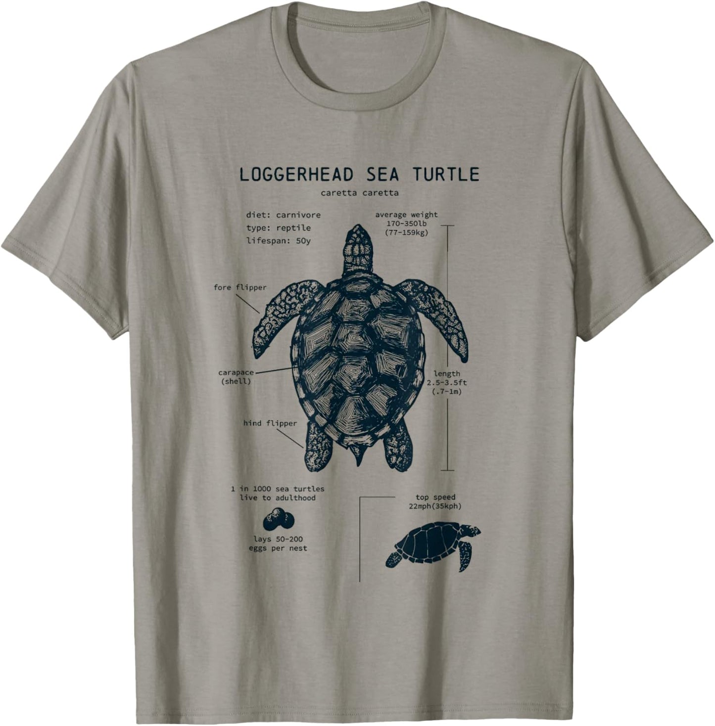 Youth Sea Turtle Anatomy T-Shirt - T-Shirt | Sand