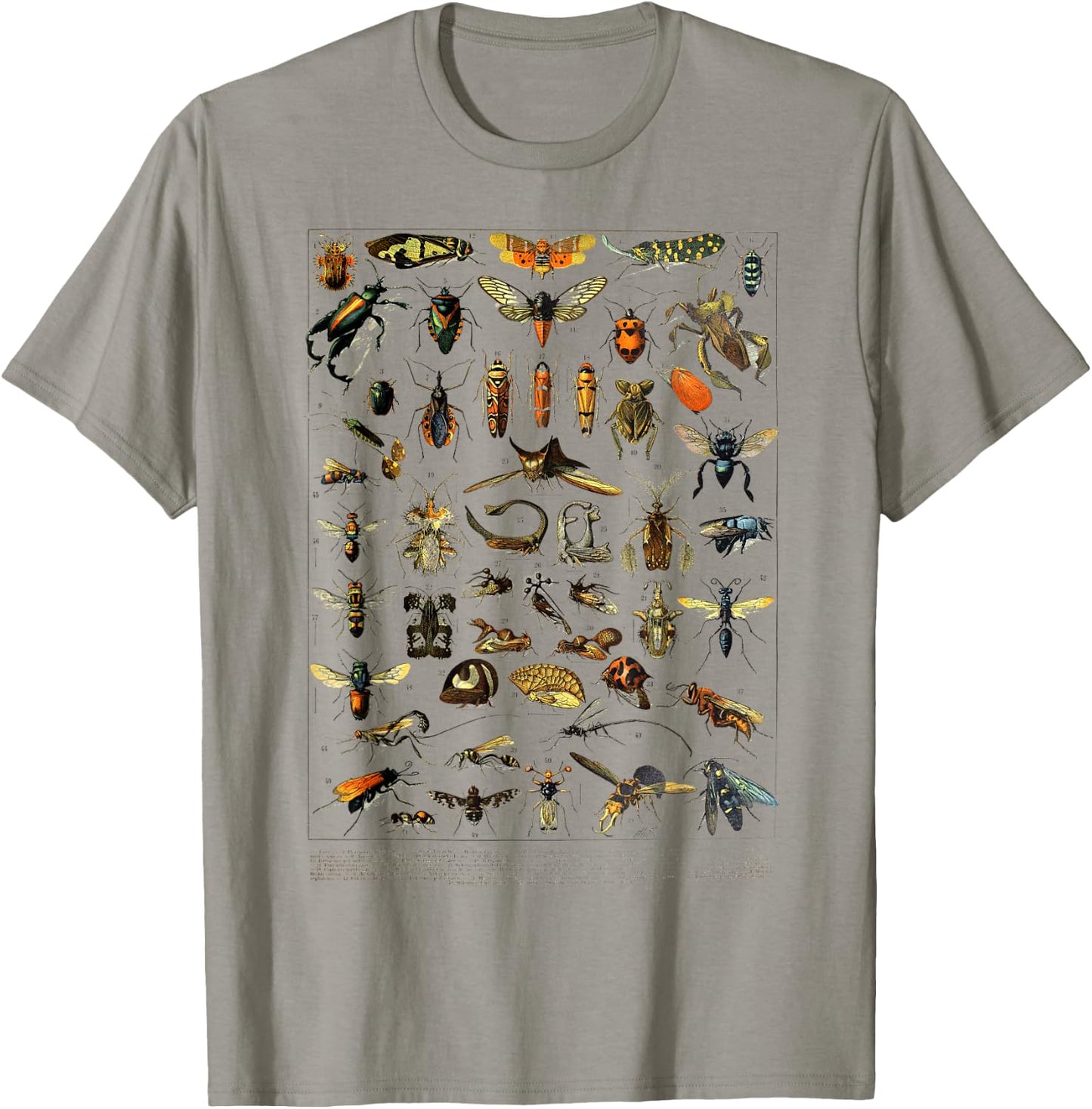 insects Collection Species Bugs Vintage Entomology T-Shirt - T-Shirt | Sand