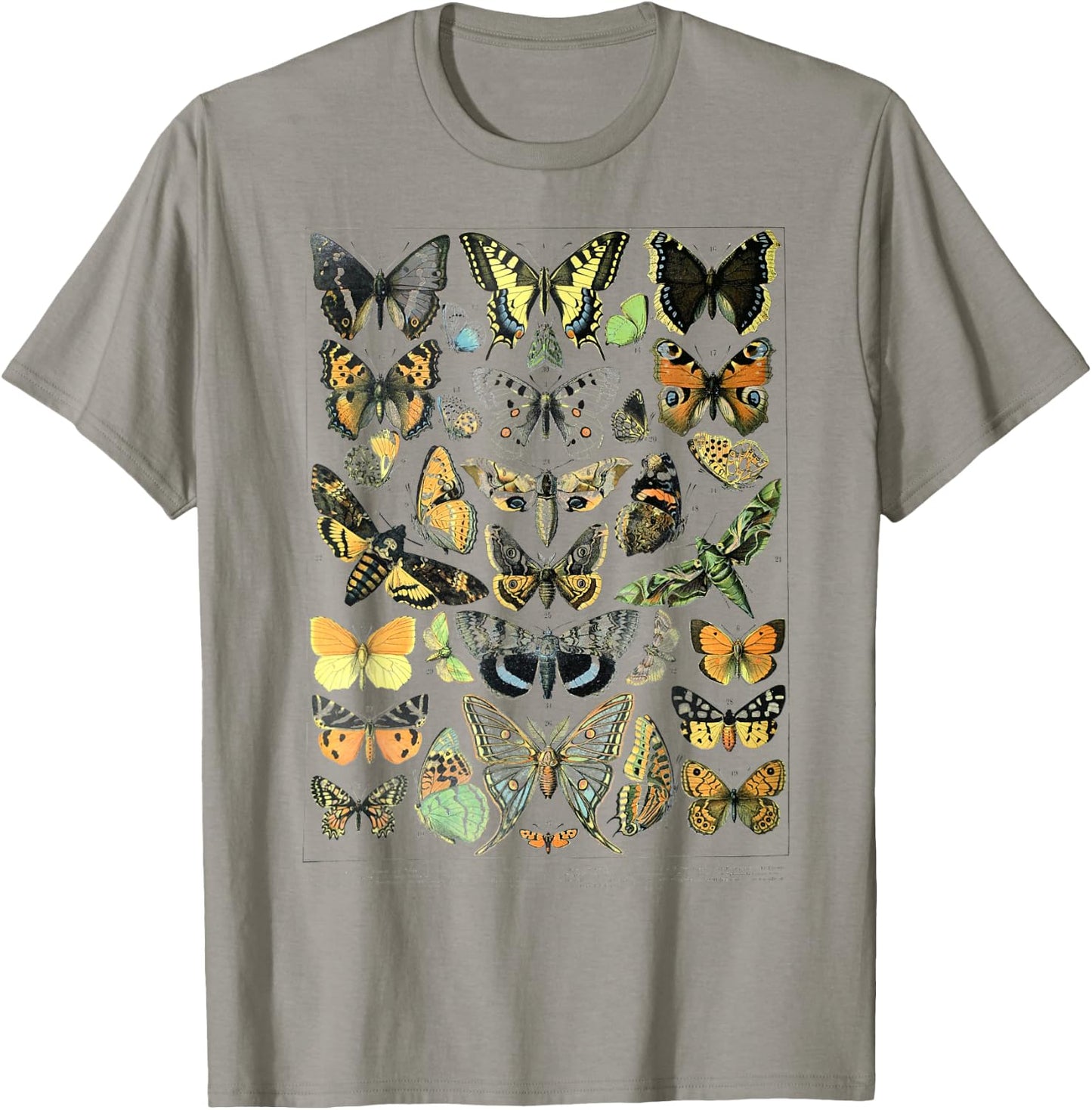 Papillons Butterflies print Butterflies Illustration chart T-Shirt - T-Shirt | Sand