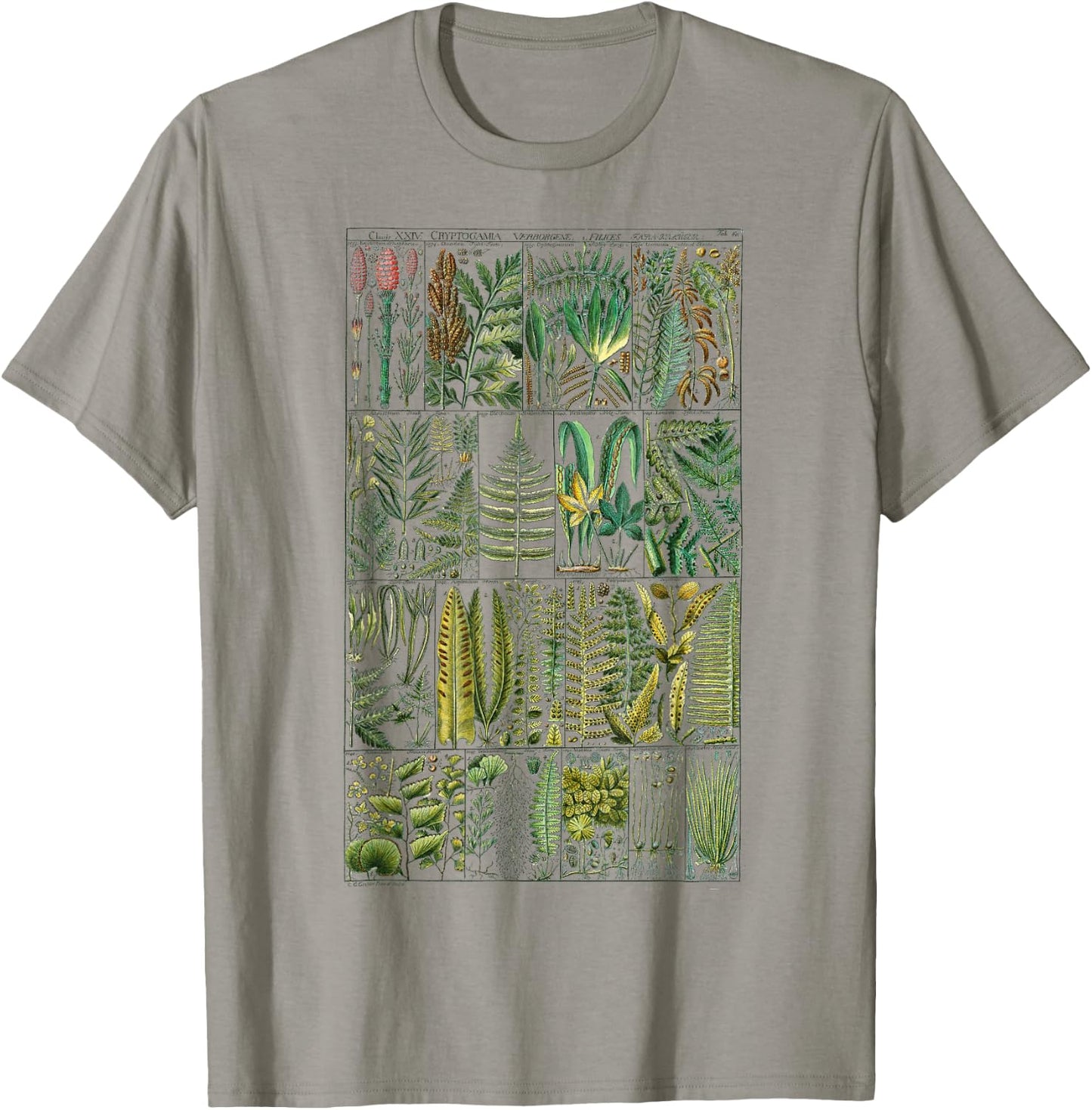 Fern Botanical Plant Botany T-Shirt - T-Shirt | Sand