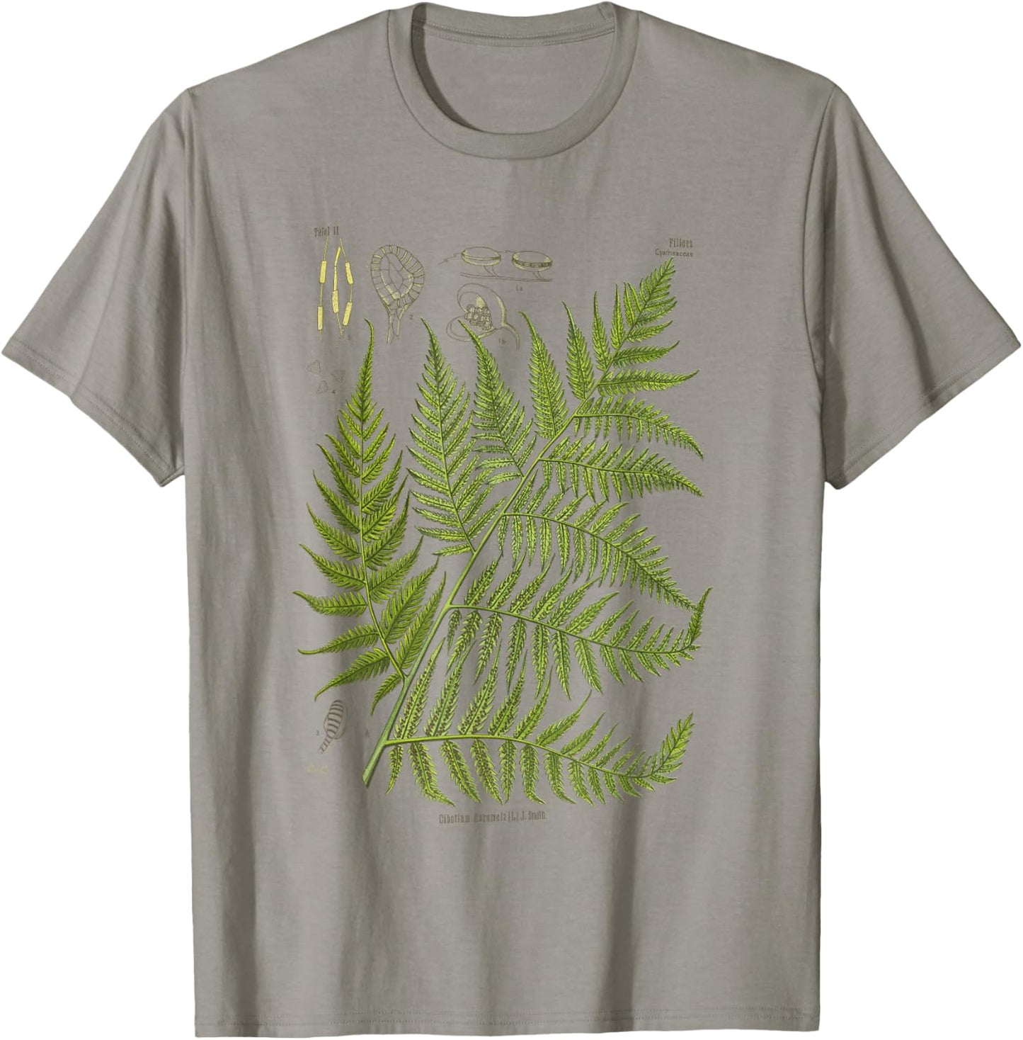 Vintage Botanical Fern Garden Botany Fern T-Shirt - T-Shirt | Sand