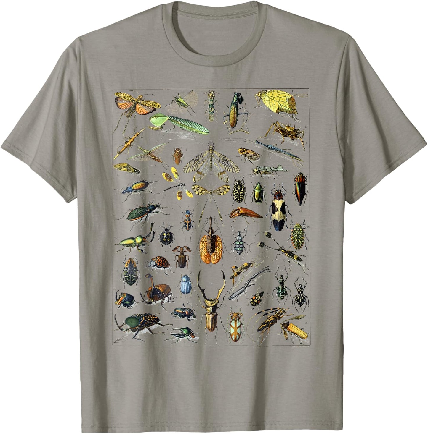 Insect Bug Entomology Print Gift Bug Print T-Shirt - T-Shirt | Sand