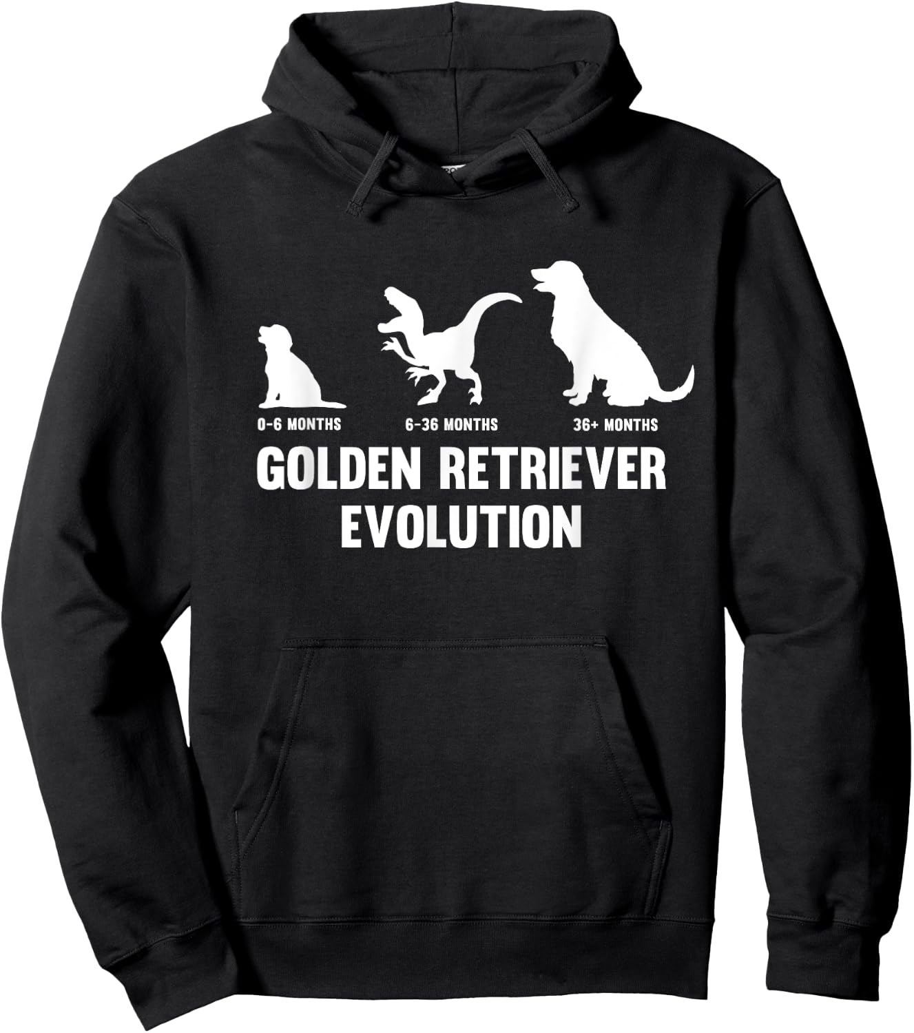 Golden Retriever Evolution for a Golden Retriever Owner Hoodie - Hoodie | Black