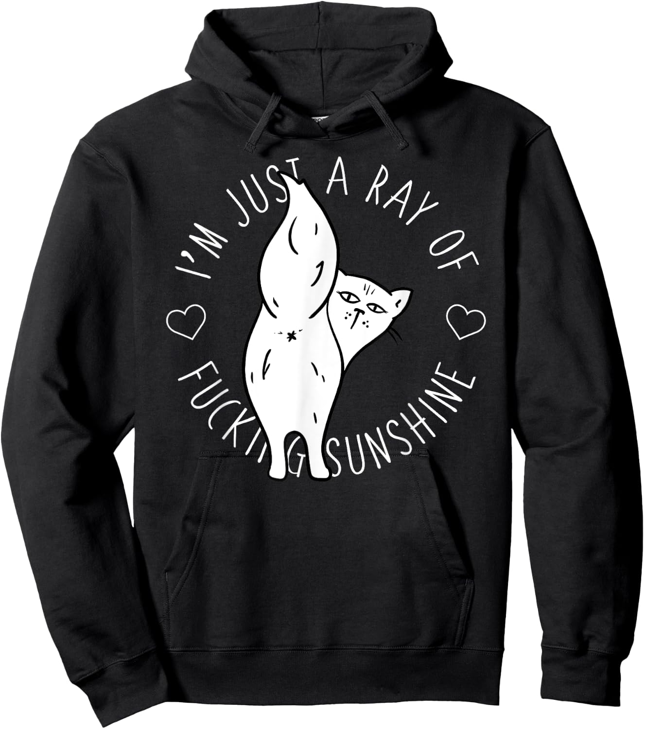 Salty Cat Ray of Fucking Sunshine Shirt Swear Offensive Men Women Hoodie - Hoodie | Black