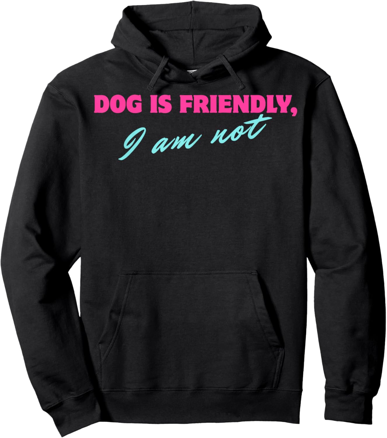 Dog Is Friendly I Am Not Hoodie - Hoodie | Black