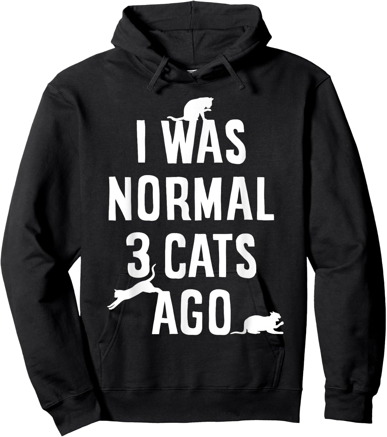 Cat Lover I Was Normal 3 Cats Ago Funny Cats Lovers Gifts Men Women Girls Kids Hoodie - Hoodie | Black