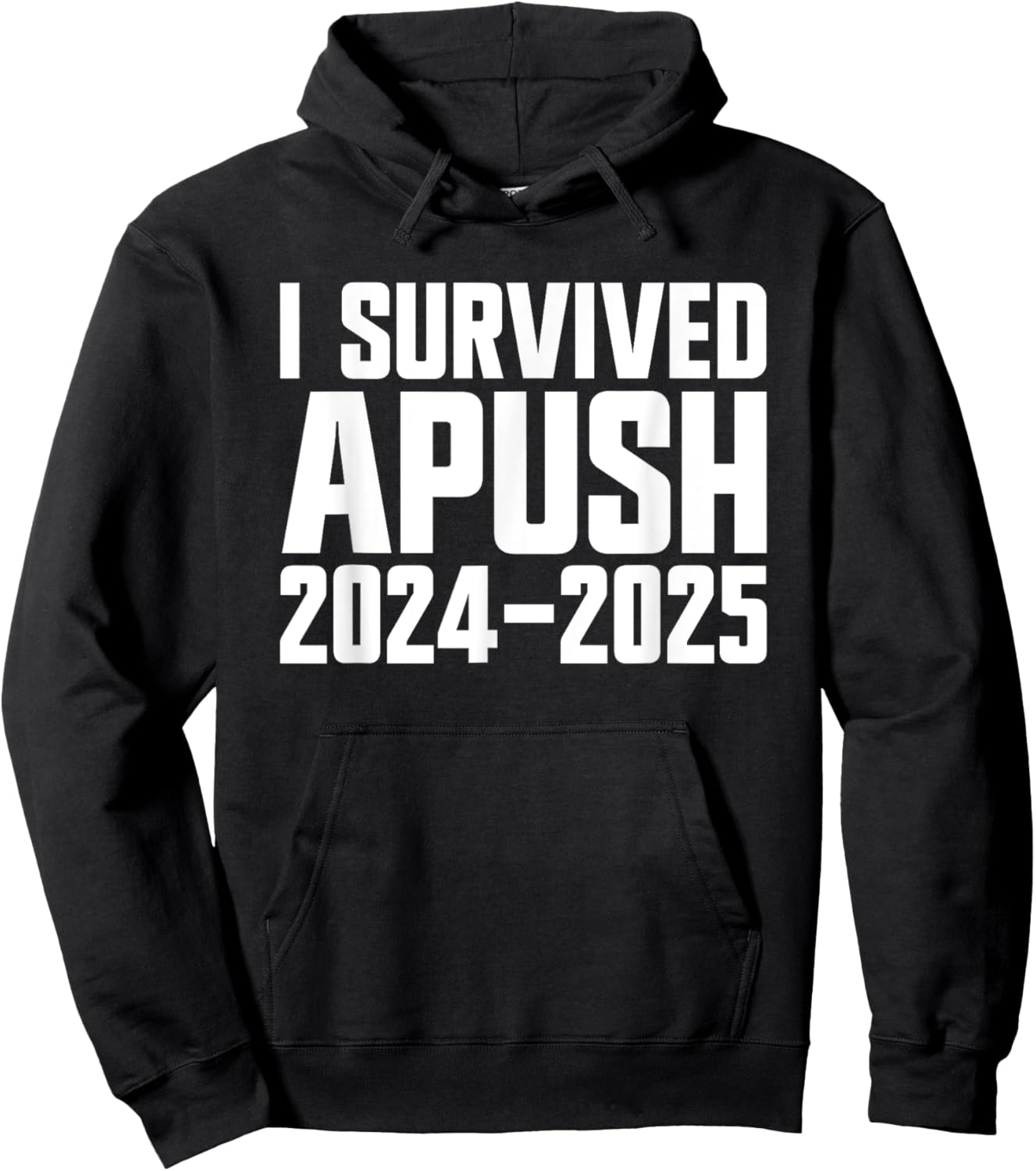 I Survived APUSH 2024-2025 AP US History Apush Hoodie - Hoodie | Black