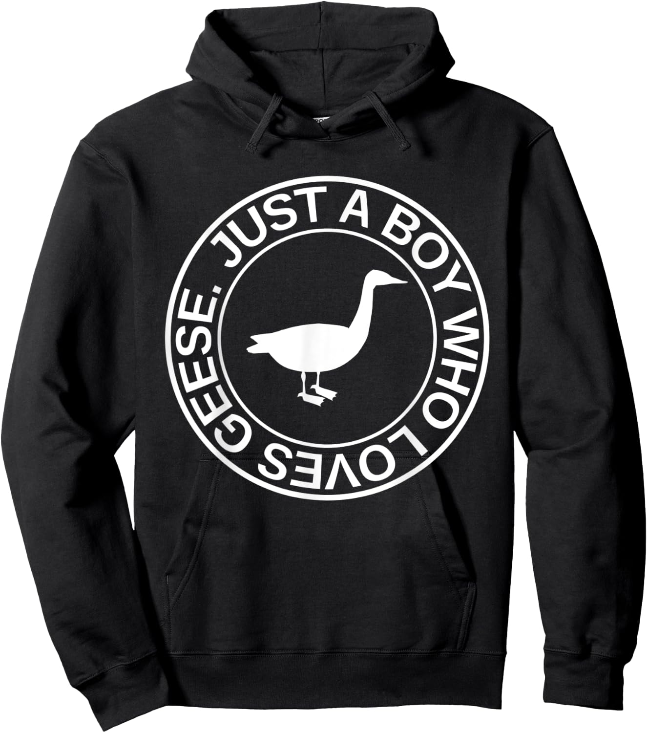 Just A Boy Who Loves Geese Gift Waterfowl Goose Hoodie - Hoodie | Black
