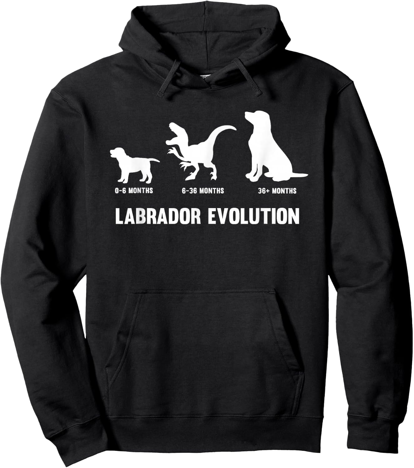 Labrador Retriever Evolution Design for a Labrador Owner Small Hoodie - Hoodie | Black