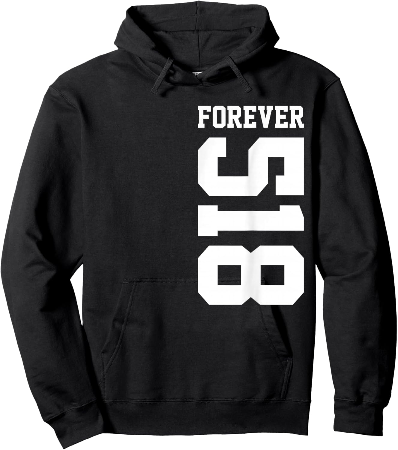 518 Area Code Albany New York Schenectady NY Troy NY Hoodie - Hoodie | Black
