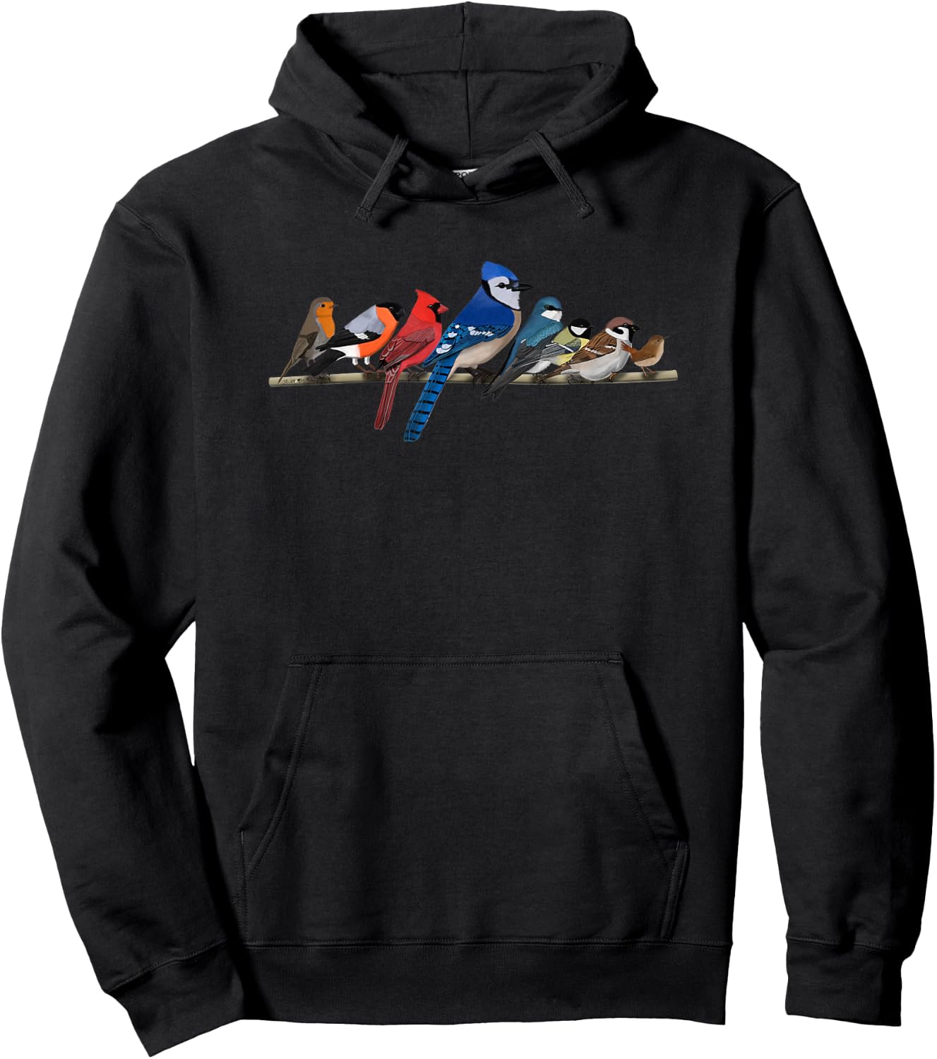 Garden Birds Blue Jay Bullfinch Ornithologist Biologist Hoodie - Hoodie | Black