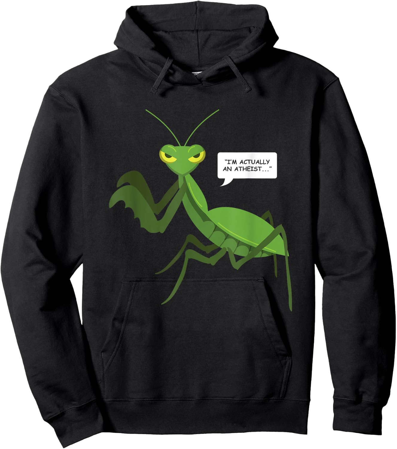 Funny Atheist Shirt Praying Mantis Bug Religion Shirt Gifts Hoodie - Hoodie | Black