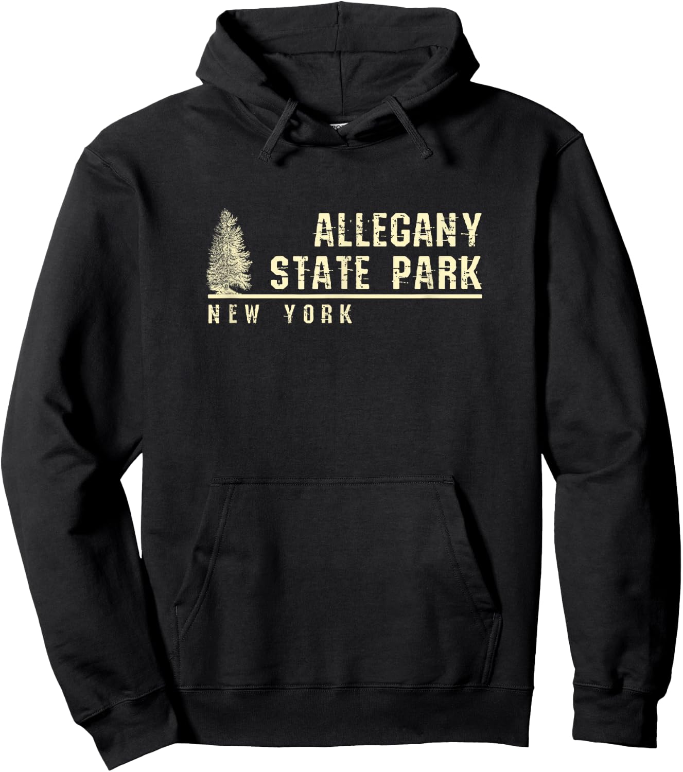 New York Souvenir Gift Allegany State Park Hoodie - Hoodie | Black