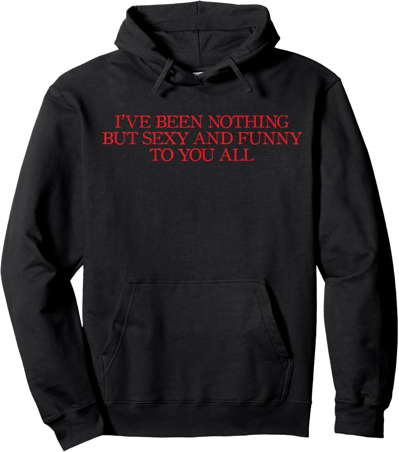 I've Been Nothing But Sexy and Funny To You Joke Hoodie - Hoodie | Black