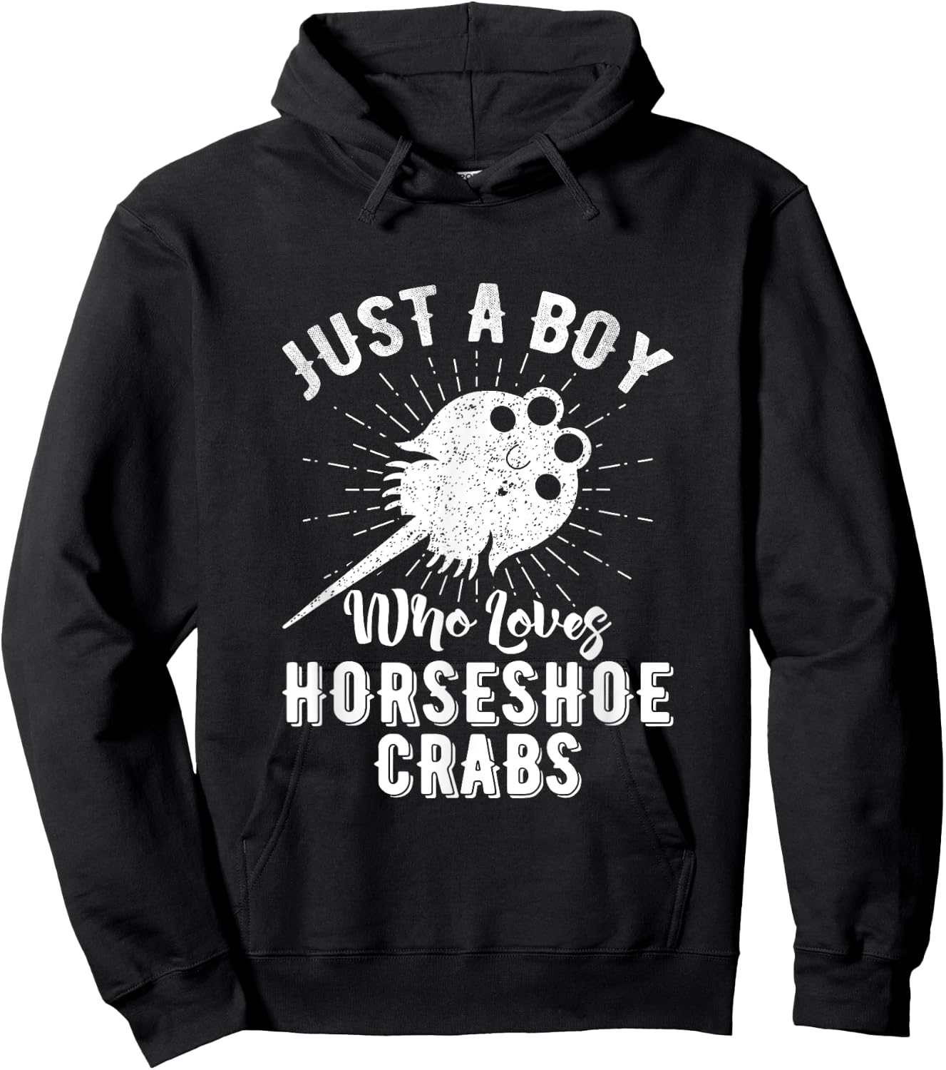 Just A Boy Who Loves Horseshoe Crabs Xiphosura Encycloart Hoodie - Hoodie | Black