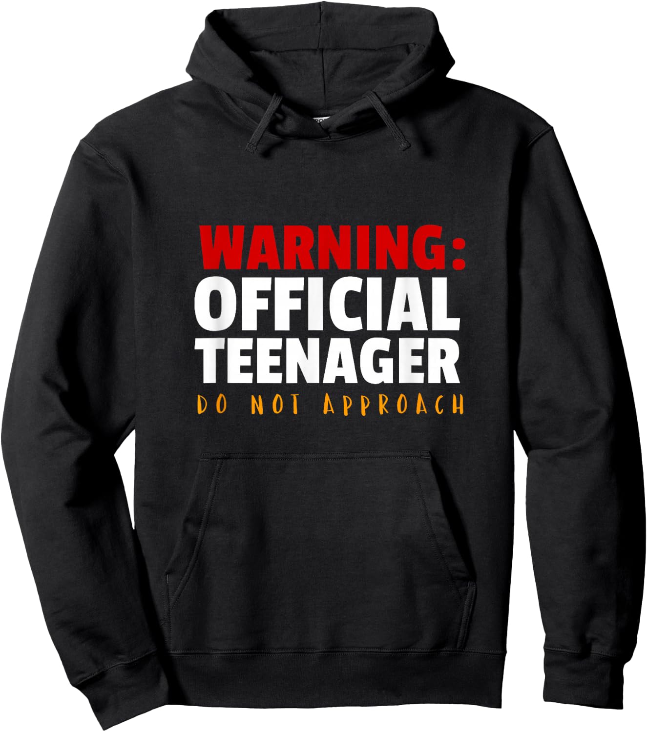 Official Teenager 13 Year Old Funny 13th Birthday Gift Hoodie - Hoodie | Black