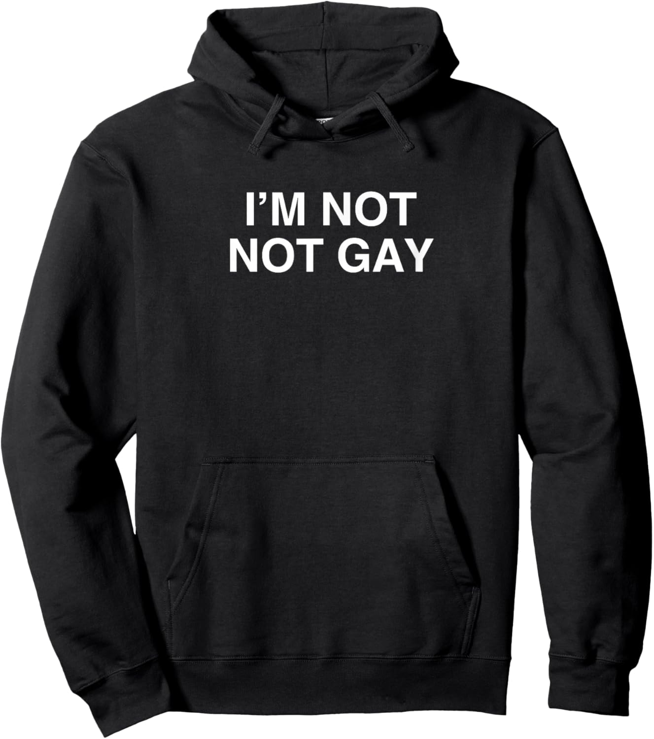 I'm Not Gay Lustiger Gay Pride Neuheit Meme LGBTQ Gag Witz Hoodie - Hoodie | Black