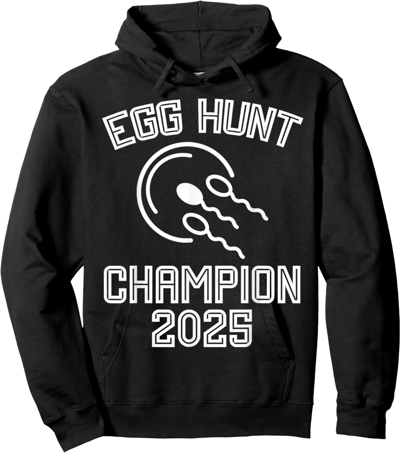 Egg Hunt Champion 2025 Funny First Time Dad Pregnancy Reveal Hoodie - Hoodie | Black