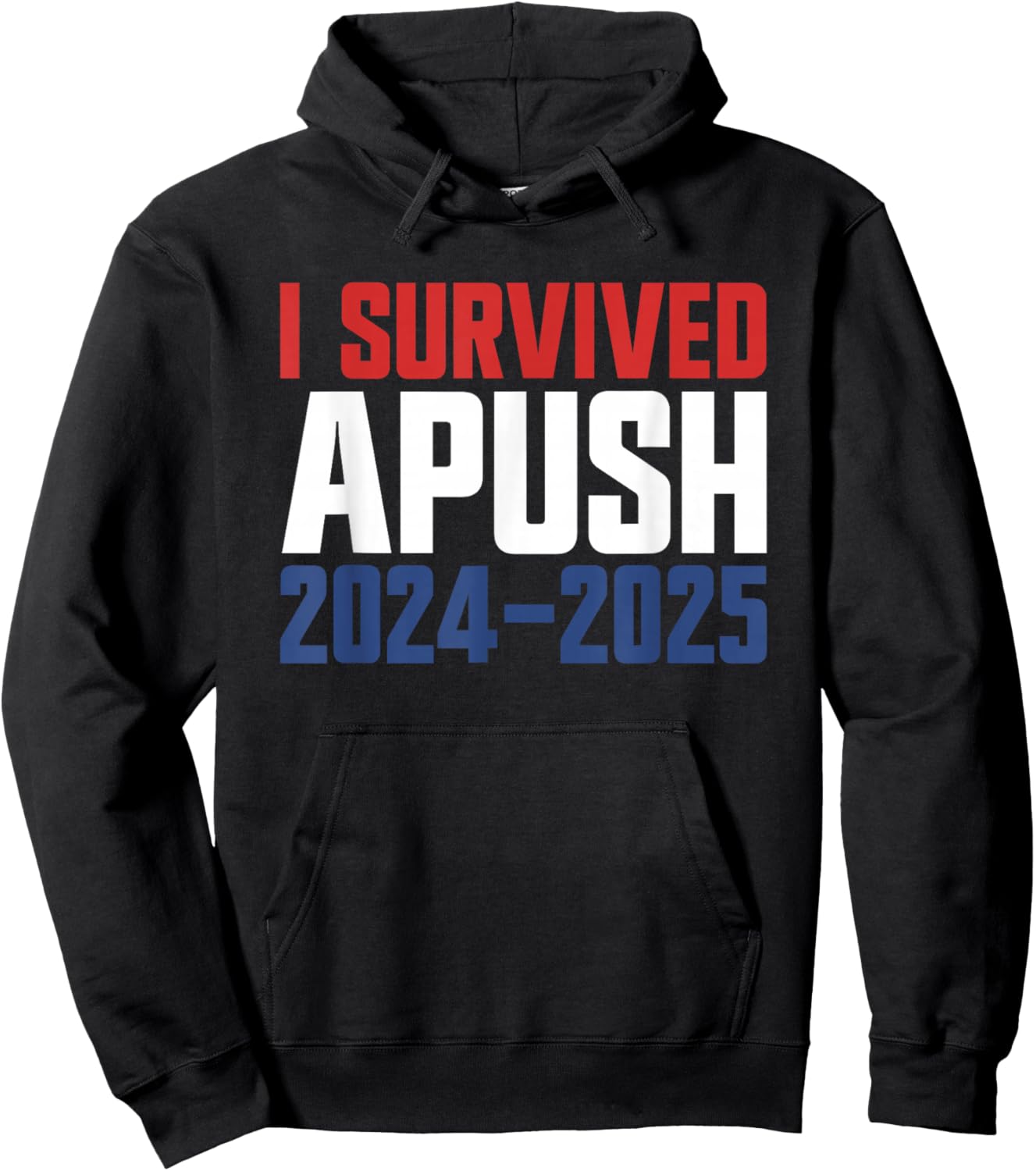 I Survived APUSH 2024-2025 AP US History Apush Hoodie - Hoodie | Black