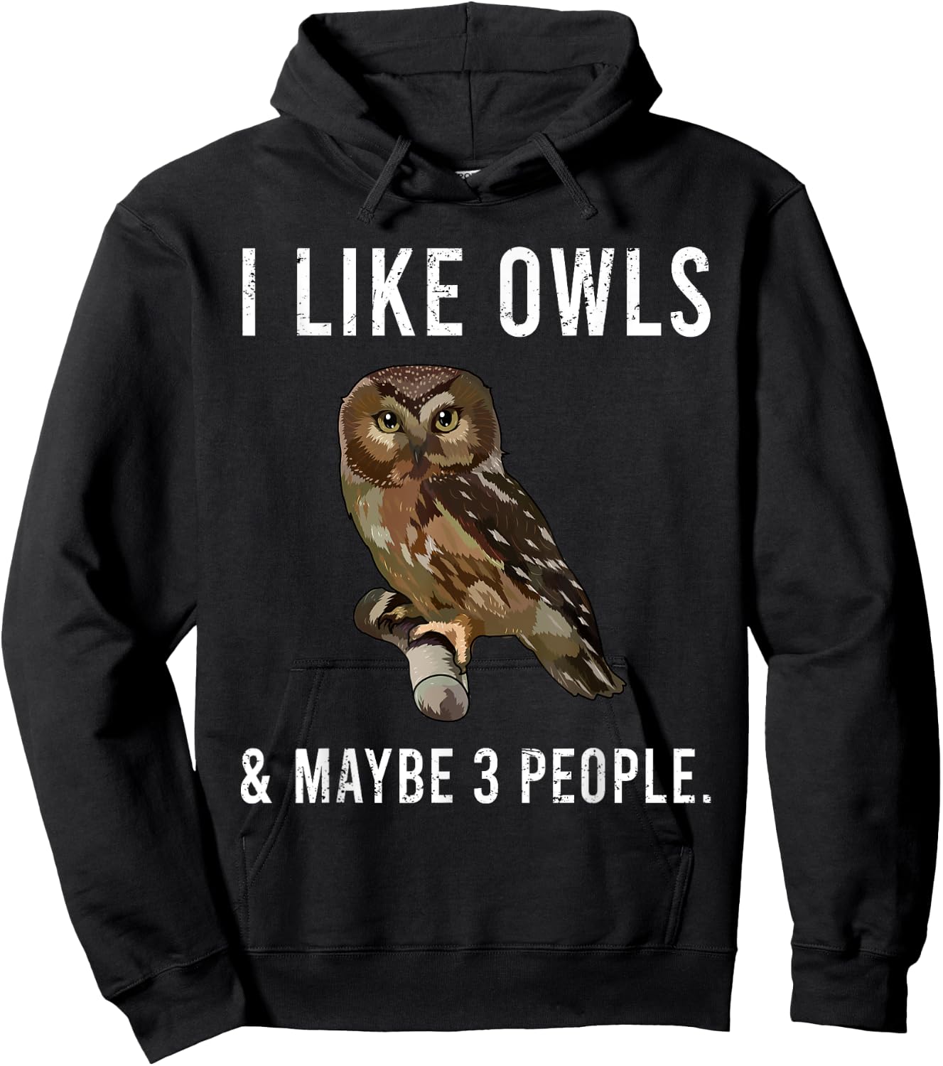 Funny I Like Northern Saw-whet Owls And Maybe 3 People Hoodie - Hoodie | Black