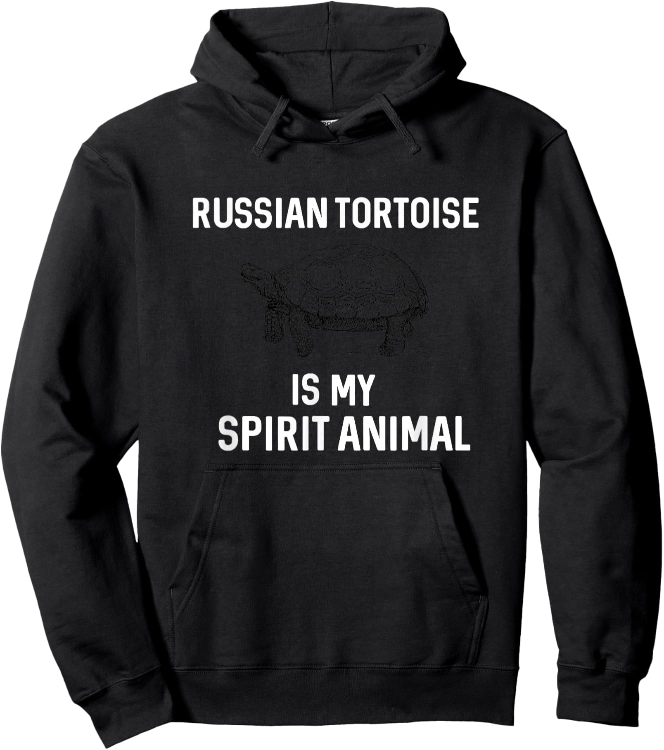Tortoise - Russian Tortoise lovers Gift Hoodie - Hoodie | Black