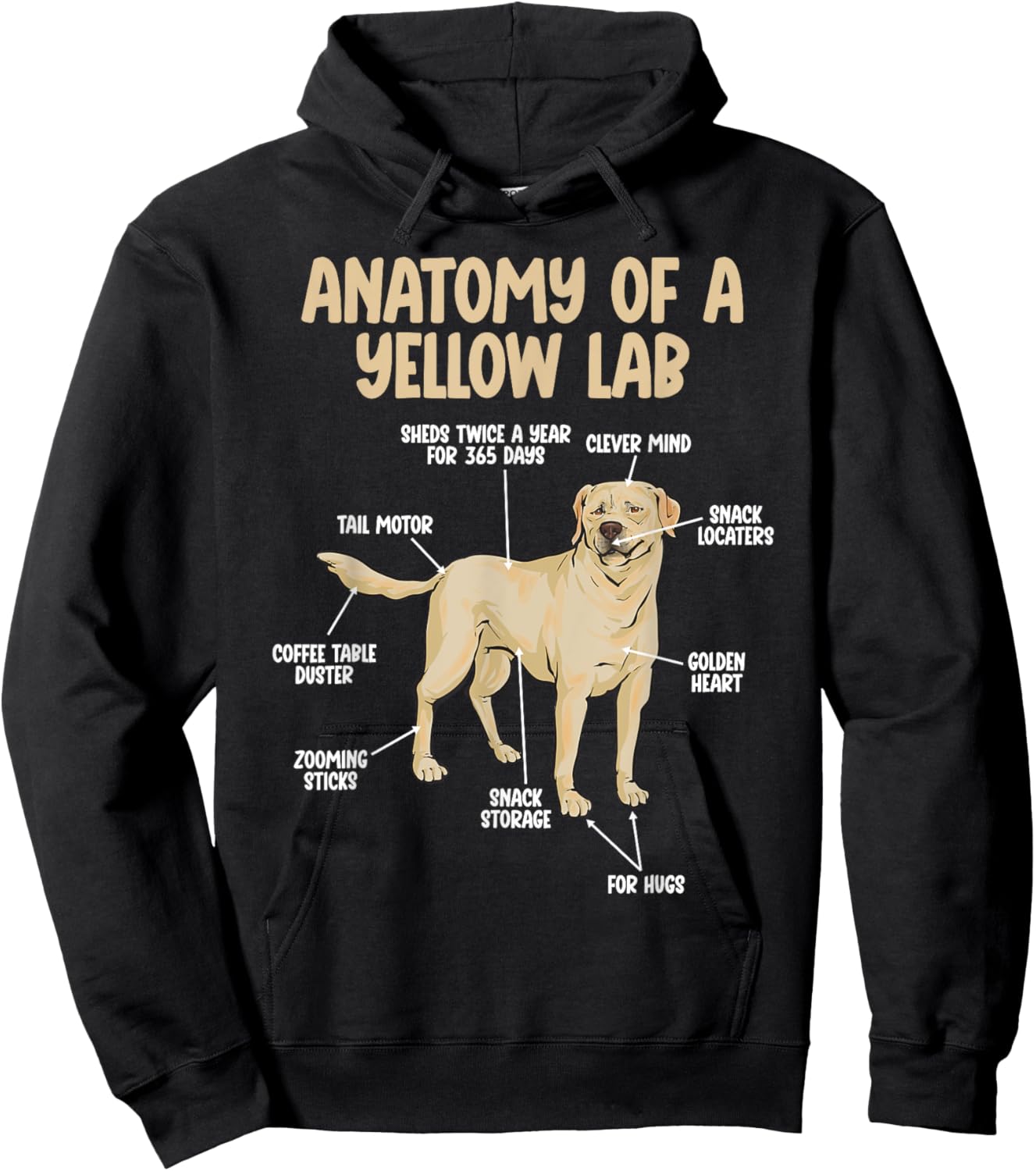 Anatomy Of A Yellow Lab Yellow Labrador Retriever Hoodie - Hoodie | Black