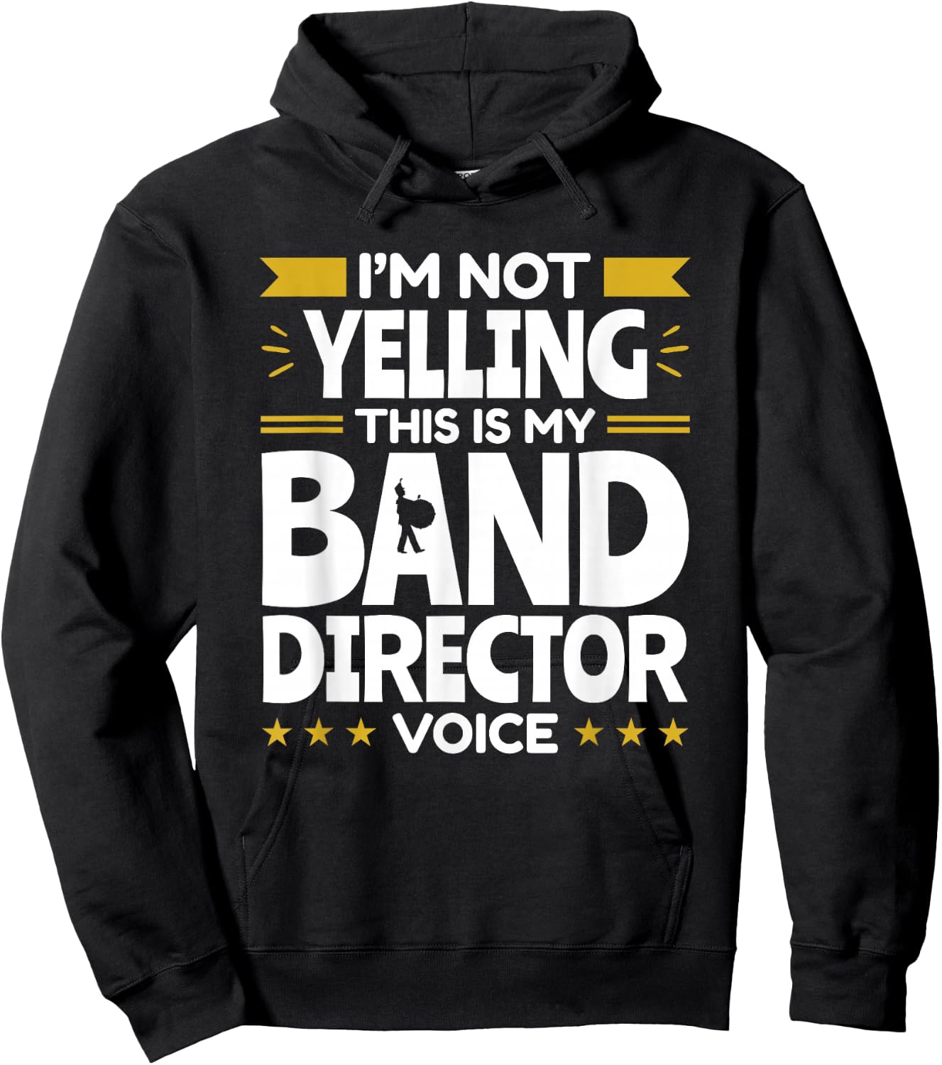 Band Director Voice Music Teacher Funny Appreciation Hoodie - Hoodie | Black