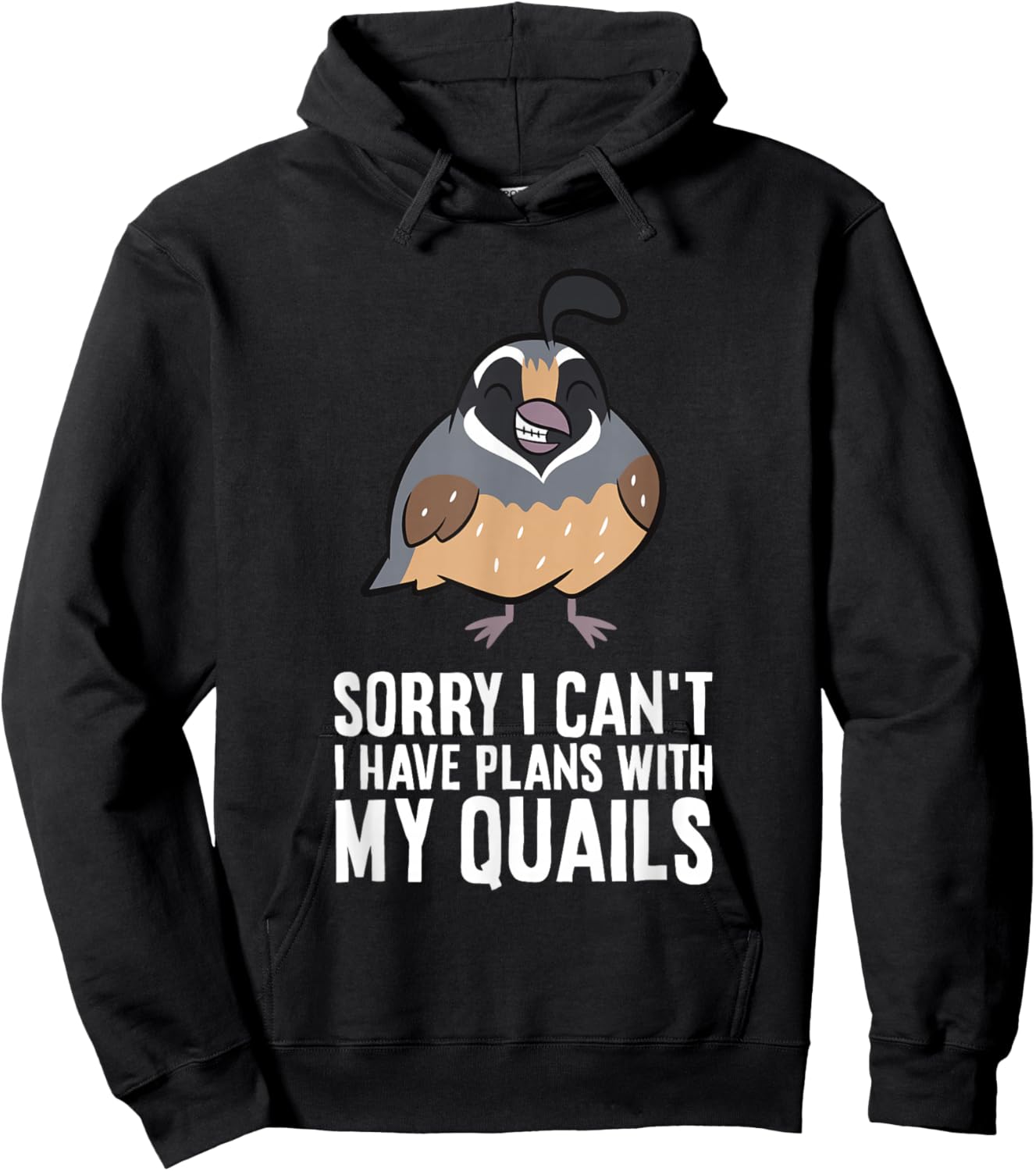 Sorry I Can't I Have Plans With My Quails Funny Common Quail Hoodie - Hoodie | Black