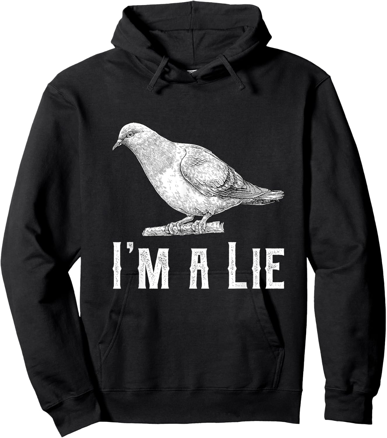Vintage I Am A Lie Bird Aren't Real Spies Awesome Cute Gift Hoodie - Hoodie | Black