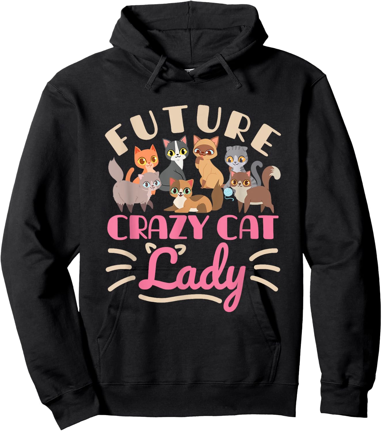 Future Crazy Cat Lady Cute Cats Funny Women Teen Girls Hoodie - Hoodie | Black