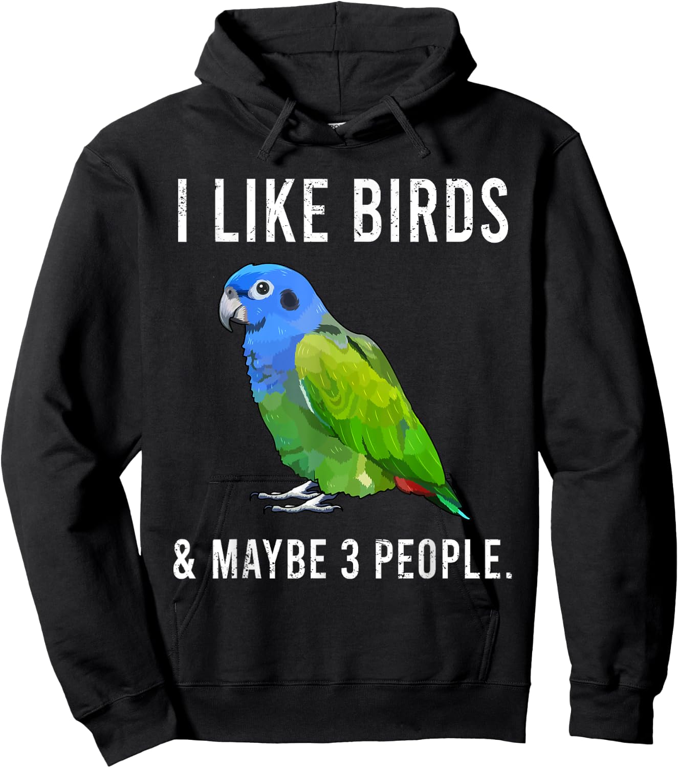 Funny I Like Pionus Birds And Maybe 3 People Hoodie - Hoodie | Black