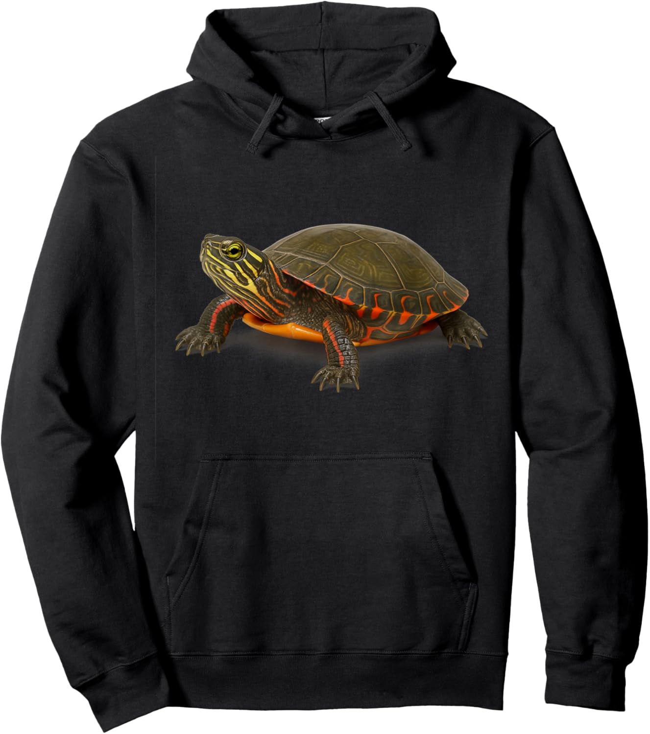 Painted Turtle Hoodie - Hoodie | Black